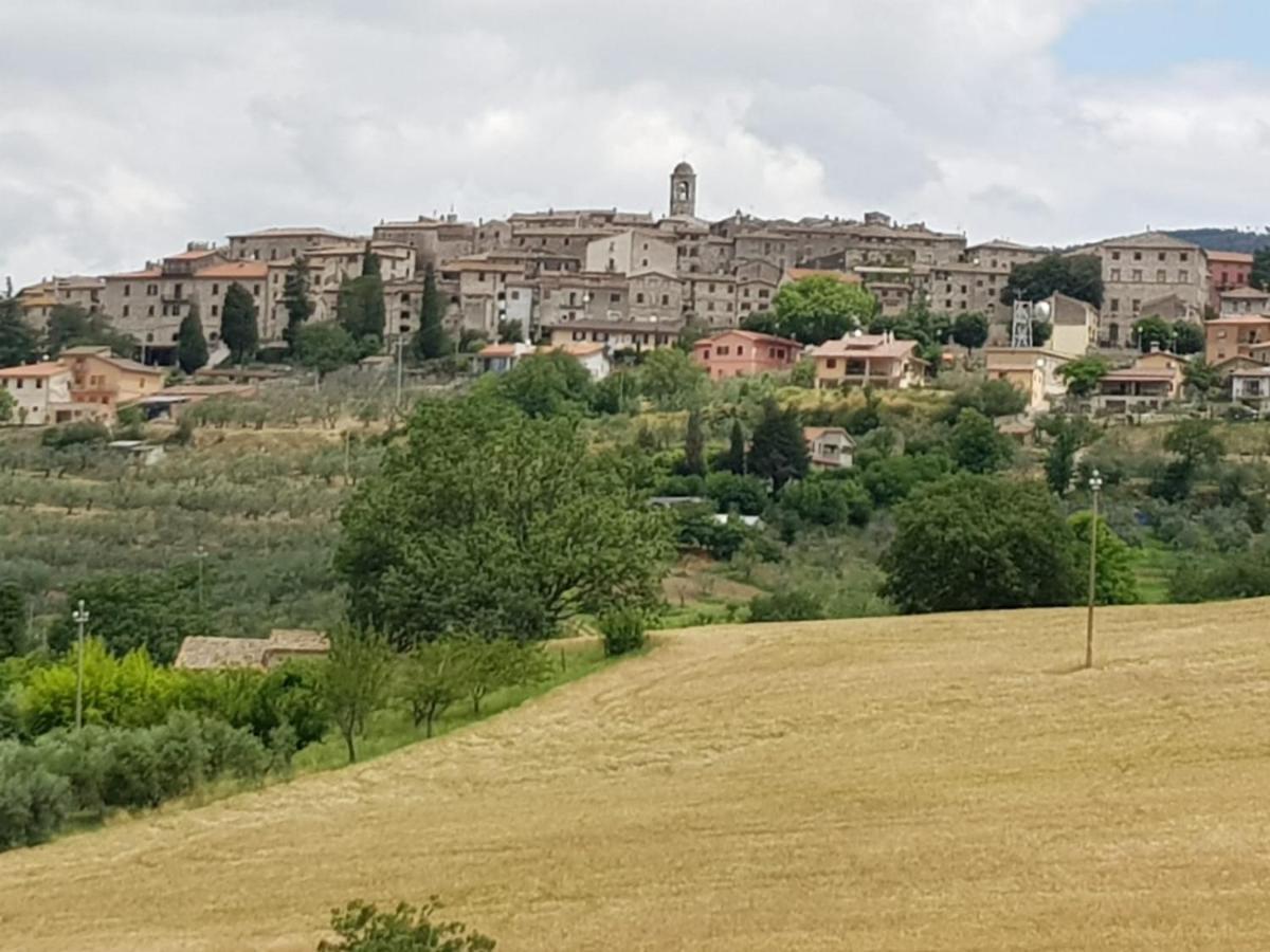 Al Ginepro Panzió Montecchio Kültér fotó